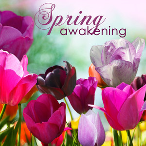 Spring Awakening – Relaxing Healing Music for Winter into Spring Equinox