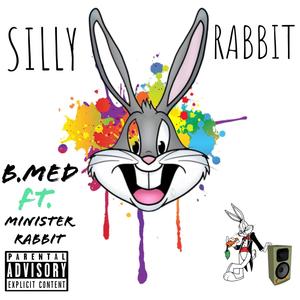 SILLY RABBIT (feat. himm the truth) (Explicit)
