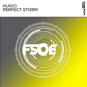 Perfect Storm (Extended Mix)