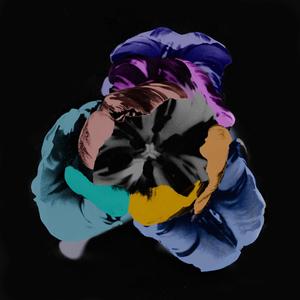 WarriorLoverHealerChild (feat. Louie & BreakBeat Lou) (Explicit)