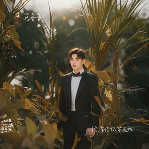 恰逢你风华正茂-苏音音