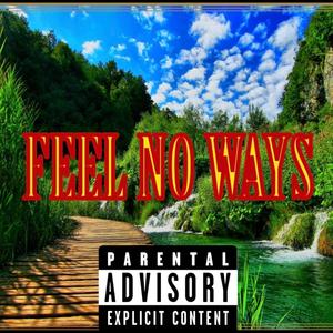 FEEL NO WAYS (feat. Marle & Fastwaymac) (Explicit)