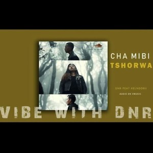 Cha Mibi Tshorwa (feat. KenLDorji)