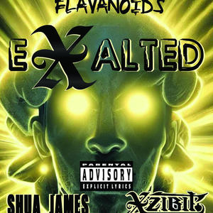 eXalted (feat. Xzibit & Shua James) [Explicit]