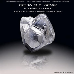 Delta Fly Remix