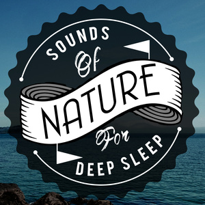 Sounds of Nature for Deep Sleep and Relaxation - Calm Coppice