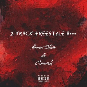 2 Track Freestyle ***** (Explicit)