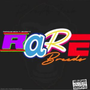 RAREBREED 11U (feat. BIG BABYYY) [Explicit]