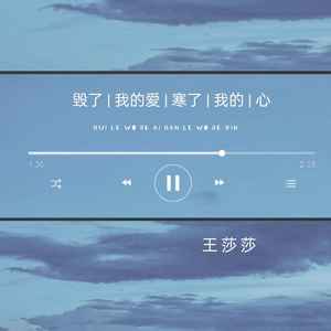 毁了我的爱寒了我的心