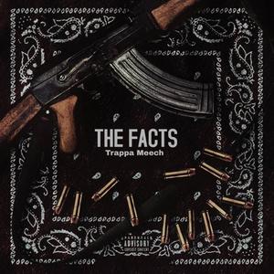 The Facts (Explicit)