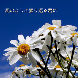 Kenji1205 - 君を抱きしめてしまった