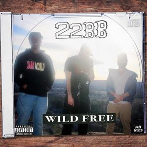 Wild Free (feat. Weird Dane)