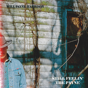 I Ain't the Man for You (feat. Van Plating)