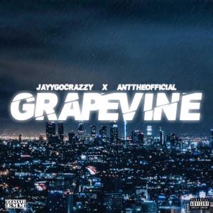 Grapevine (feat. ANT The Official) (Explicit)
