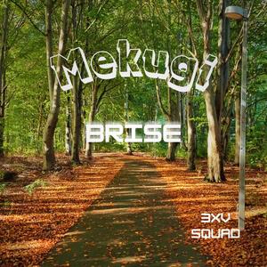 Brise (feat. Siff)