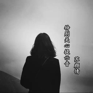 特别关心提示音 (伴奏)