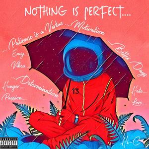 NOTHING IS PERFECT.... (Explicit)