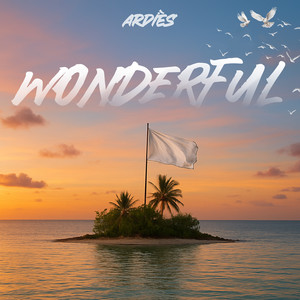 WONDERFUL (Explicit)