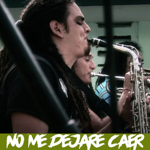 No Me Dejaré Caer