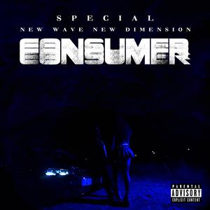 Consumer