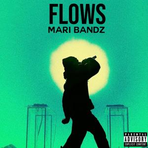 Flows (Explicit)