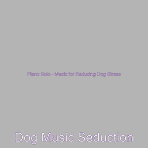 Vibrant Ambience for Reducing Dog Stress