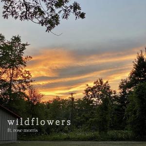 wildflowers (feat. rose morris)