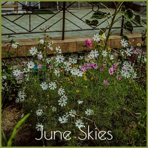 June Skies