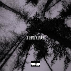 Flow State (Explicit)