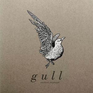 gull