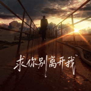 求你别离开我 (DJ重鼓)