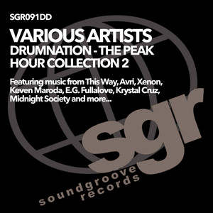 If You Like (Koroush & Ric-M Electronic Emotions Remix)