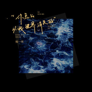 你怎么从我世界消失的