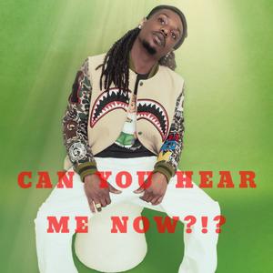 Flow - Pro (Explicit)