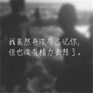 你说你最爱丁香花