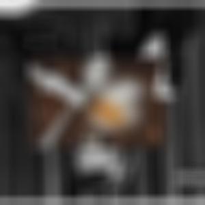 TOTALFXCKINGGFAILURE (Explicit)