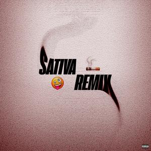 Sativa (Remix|Explicit)
