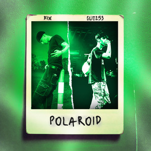 Polaroid