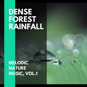Dense Forest Rainfall - Melodic Nature Music, Vol.1