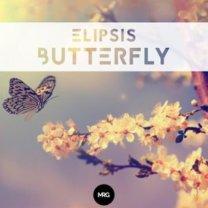 Butterfly (Sleepless Remix)