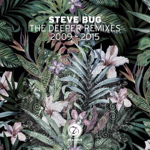 Ara Anam (Steve Bug Remix)