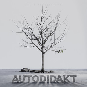 Autodidakt