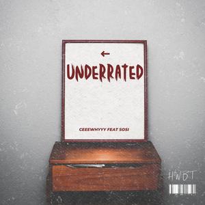 Underrated (feat. So-si) [Explicit]