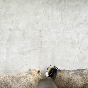 Messier - Simon Says (Off Malaise Version)