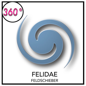 Felidae (Instrumental Edit)