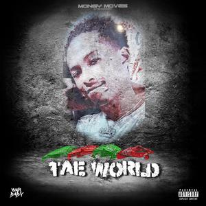 Tae World (Explicit)