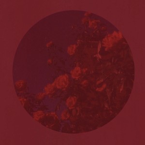 你是我最不想写进歌里的人无损