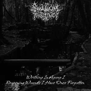 Writhing in Agony I: Reopening Wounds I Have Once Forgotten (feat. Vanessa Funke)