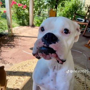 like this (Explicit)