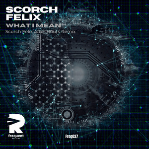 What I Mean (Scorch Felix Remix)